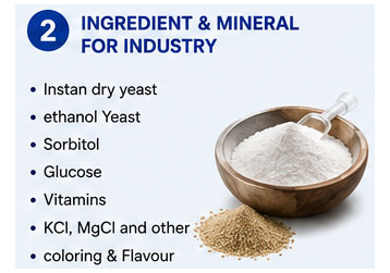B1_INGREDIENT