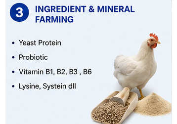C1_INGREDIENT